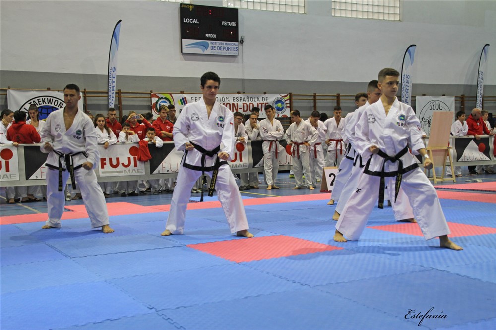 Copa Seul 2018 (322).jpg